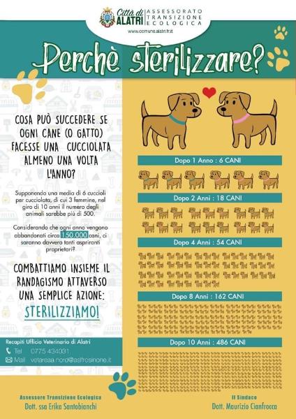 Perchè sterilizzare? Una scelta cosciente per combattere il randagismoCampagna di sterilizzazione 